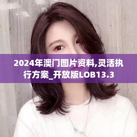 2024年澳门图片资料,灵活执行方案_开放版LOB13.3