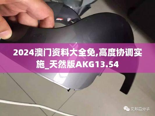 2024澳门资料大全免,高度协调实施_天然版AKG13.54