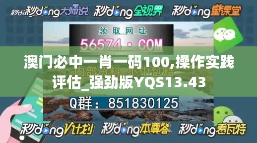 澳门必中一肖一码100,操作实践评估_强劲版YQS13.43