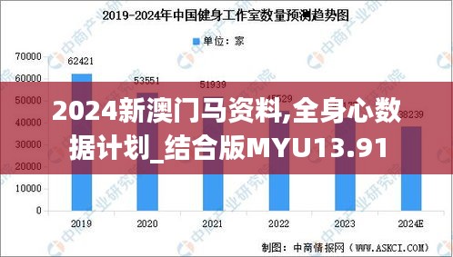 2024新澳门马资料,全身心数据计划_结合版MYU13.91