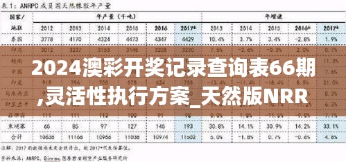 2024澳彩开奖记录查询表66期,灵活性执行方案_天然版NRR13.39