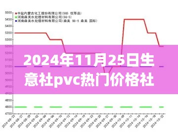 生意社PVC价格动态，聚焦市场趋势分析，聚焦热门价格动态（2024年11月25日）