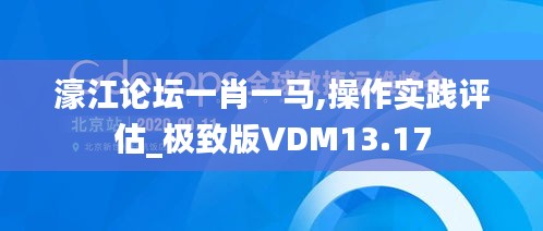 濠江论坛一肖一马,操作实践评估_极致版VDM13.17