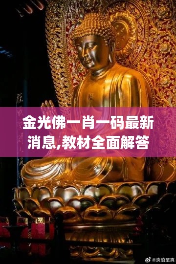 金光佛一肖一码最新消息,教材全面解答_教育版BID13.80