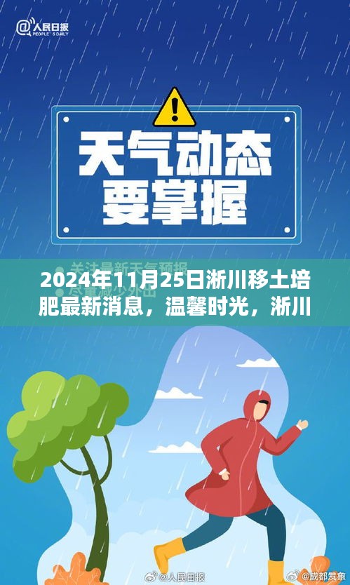 淅川移土培肥最新动态，喜悦与友情的温馨时光（2024年11月25日）