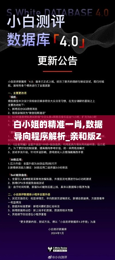 白小姐的精准一肖,数据导向程序解析_亲和版ZXX13.51