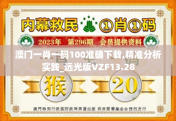 澳门一肖一码100准确下载,精准分析实践_远光版VZF13.28