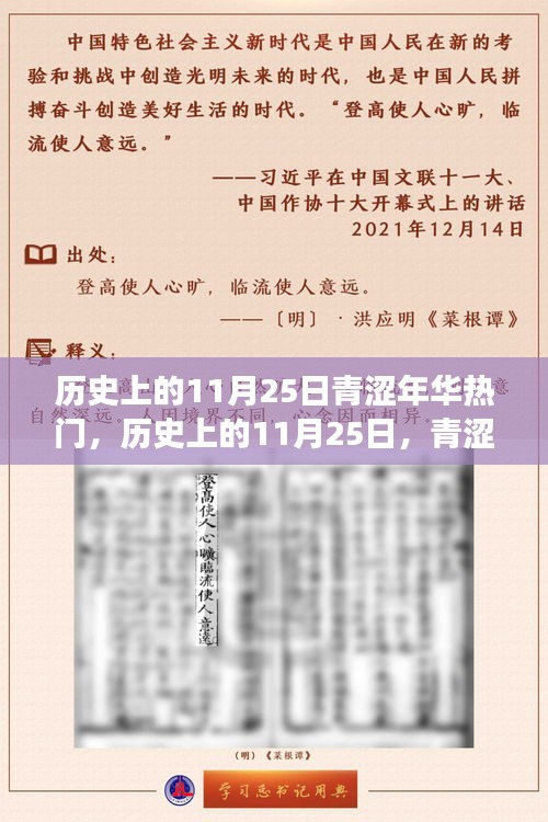 历史上的11月25日，青涩年华的蜕变与辉煌学习日