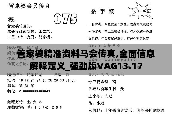 管家婆精准资料马会传真,全面信息解释定义_强劲版VAG13.17