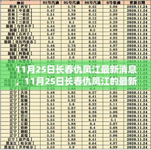 聚焦长春仇凤江，最新动态与发展轨迹探寻