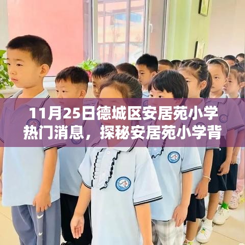 探秘安居苑小学背后的隐藏宝藏，小巷特色小店热门消息曝光