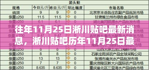 淅川贴吧历年11月25日最新消息综述，深度解读与观点阐述