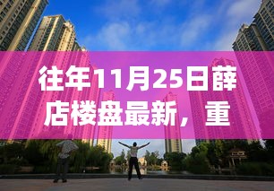 往年11月25日薛店楼盘最新动态及市场趋势深度解析