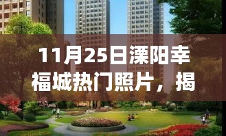 揭秘溧阳幸福城，探寻热门照片背后的故事——11月25日精彩瞬间纪实