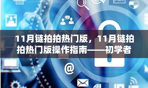 11月链拍拍热门版操作指南，从初学者到进阶用户的必备教程