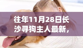 长沙寻狗记，温情陪伴与奇缘重逢的感人故事（往年11月28日最新更新）