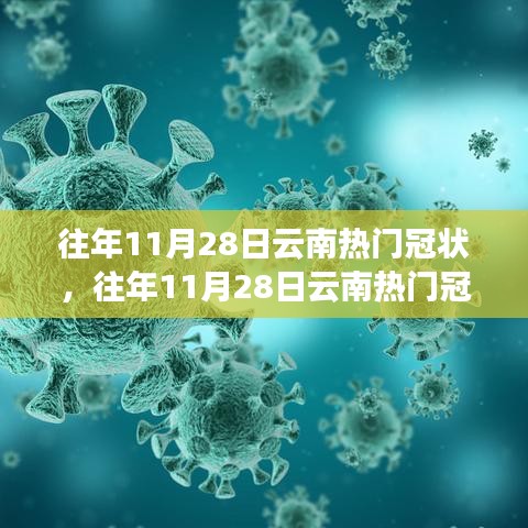 回顾解析，云南历年11月28日冠状病毒疫情事件概览