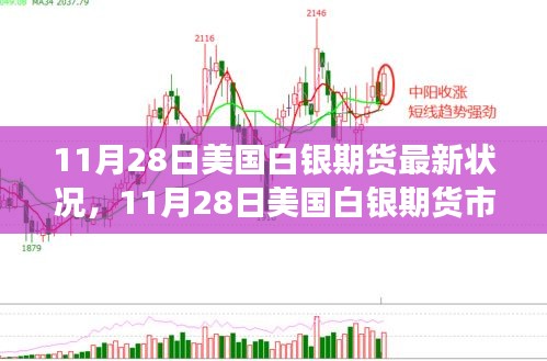 11月28日美国白银期货市场最新动态与最新状况概览