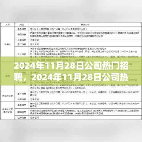 2024年11月28日公司热门招聘现象探析，人才市场的繁荣与挑战