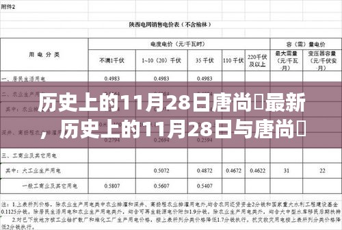 多维视角下的碰撞，历史上的11月28日与唐尚珺的最新篇章揭秘