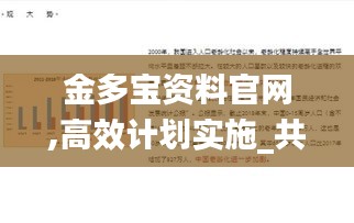 金多宝资料官网,高效计划实施_共享版RVA13.72