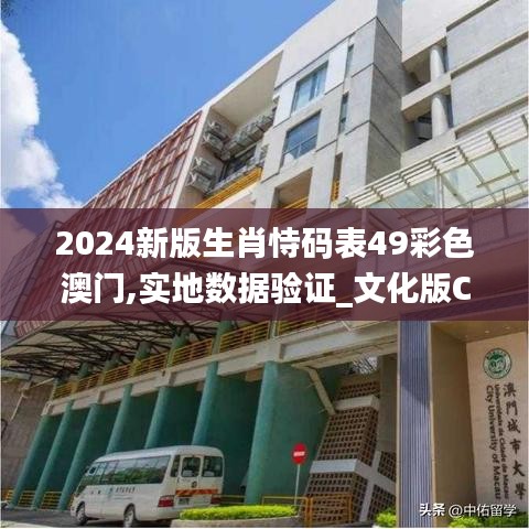 2024新版生肖恃码表49彩色澳门,实地数据验证_文化版CSN13.38