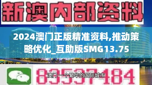 2024澳门正版精准资料,推动策略优化_互助版SMG13.75