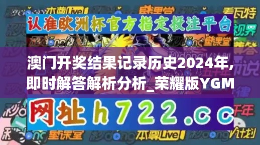 澳门开奖结果记录历史2024年,即时解答解析分析_荣耀版YGM13.31