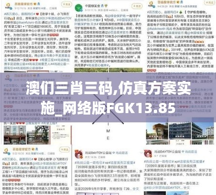 澳们三肖三码,仿真方案实施_网络版FGK13.85