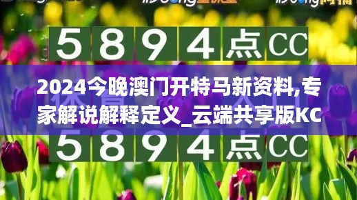 2024今晚澳门开特马新资料,专家解说解释定义_云端共享版KCP13.49