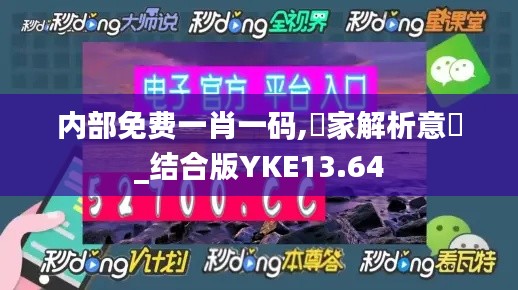 内部免费一肖一码,專家解析意見_结合版YKE13.64