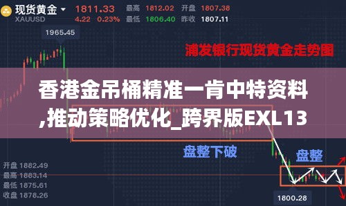 香港金吊桶精准一肯中特资料,推动策略优化_跨界版EXL13.12