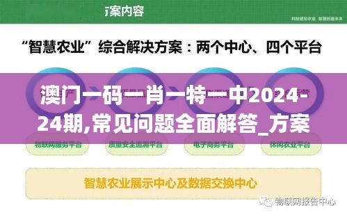 澳门一码一肖一特一中2024-24期,常见问题全面解答_方案版FCH13.79