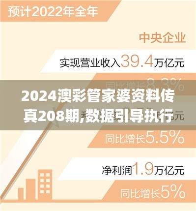 2024澳彩管家婆资料传真208期,数据引导执行策略_开放版VNQ13.68