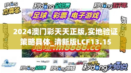 2024澳门彩天天正版,实地验证策略具体_清新版LCF13.15