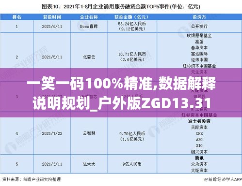 一笑一码100%精准,数据解释说明规划_户外版ZGD13.31