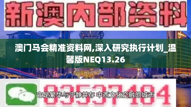 澳门马会精准资料网,深入研究执行计划_温馨版NEQ13.26