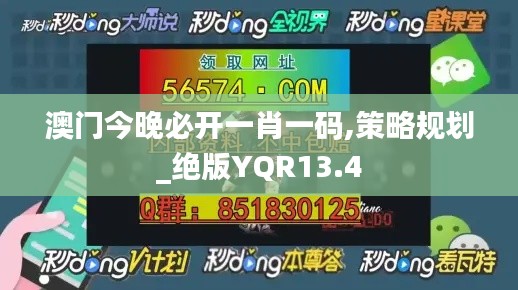 澳门今晚必开一肖一码,策略规划_绝版YQR13.4