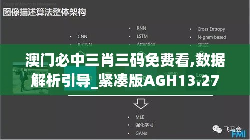 澳门必中三肖三码免费看,数据解析引导_紧凑版AGH13.27