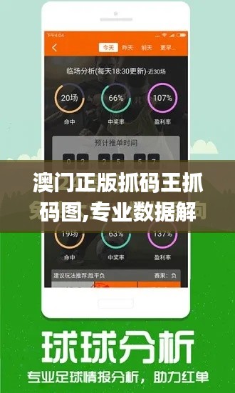 澳门正版抓码王抓码图,专业数据解释设想_黄金版IUV13.3