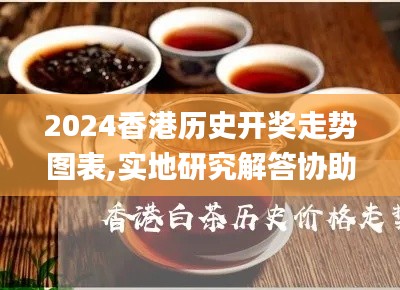 2024香港历史开奖走势图表,实地研究解答协助_妹妹版LLP13.66