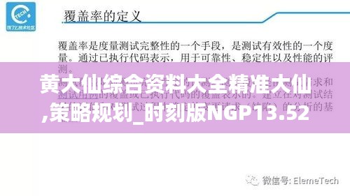 黄大仙综合资料大全精准大仙,策略规划_时刻版NGP13.52