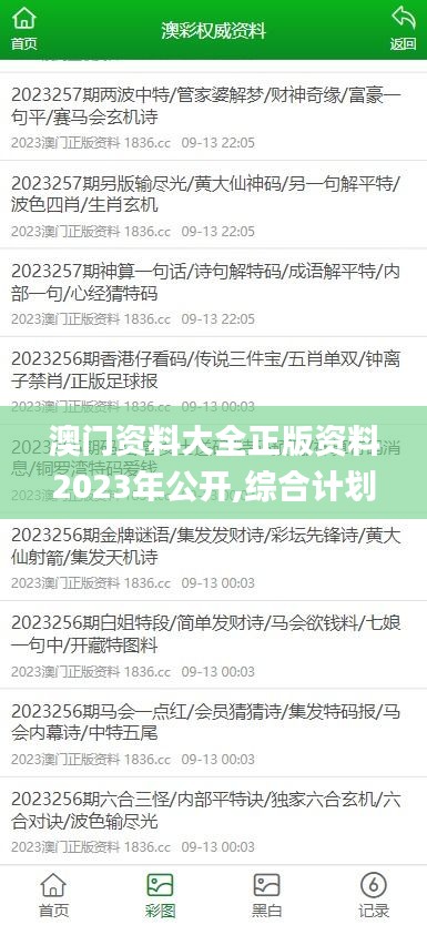 澳门资料大全正版资料2023年公开,综合计划评估_结合版ANX13.22