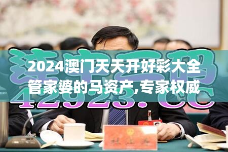 2024澳门天天开好彩大全管家婆的马资产,专家权威解答_复古版IES13.40