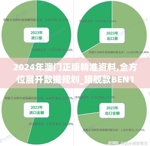 2024年澳门正版精准资料,全方位展开数据规划_旗舰款BEN13.10