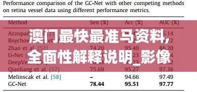 澳门最快最准马资料,全面性解释说明_影像处理版OJT13.2