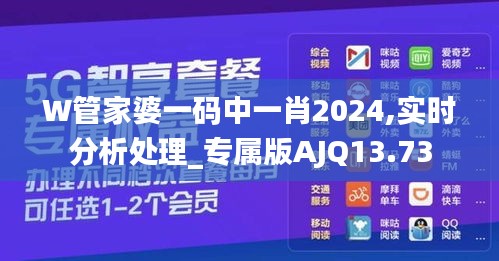 W管家婆一码中一肖2024,实时分析处理_专属版AJQ13.73