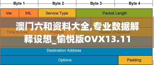 澳门六和资料大全,专业数据解释设想_愉悦版OVX13.11