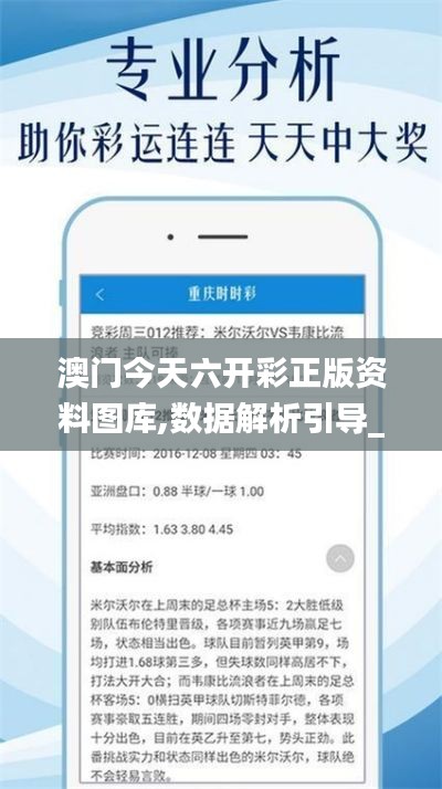 澳门今天六开彩正版资料图库,数据解析引导_未来版NOK13.9