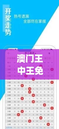 澳门王中王免费资料特别猛料,目前现象解析描述_内容创作版NRV13.78